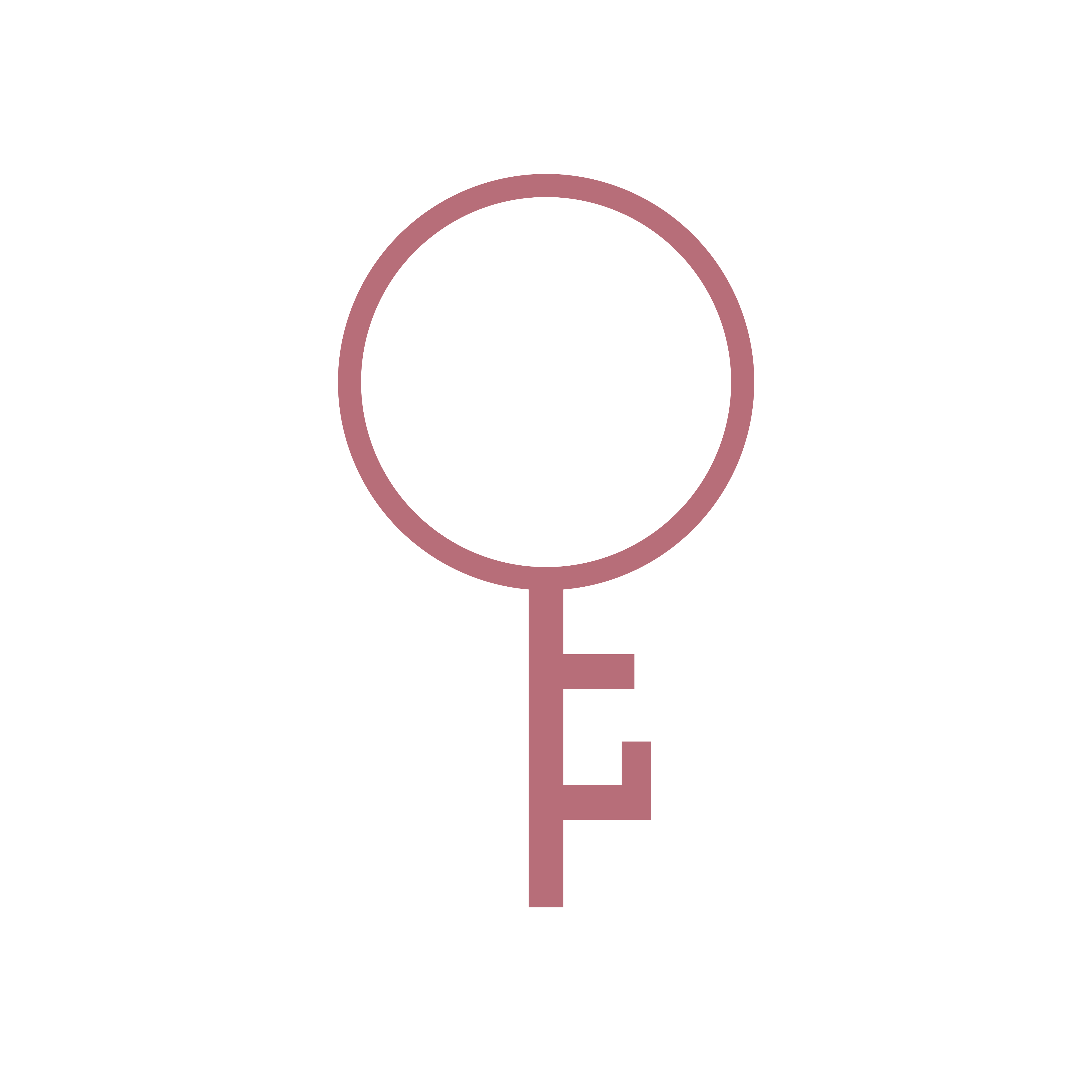 CaloKey Logo